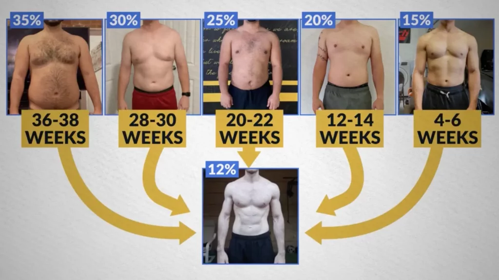 How to get lean set realistic timeline based on body fat percentage