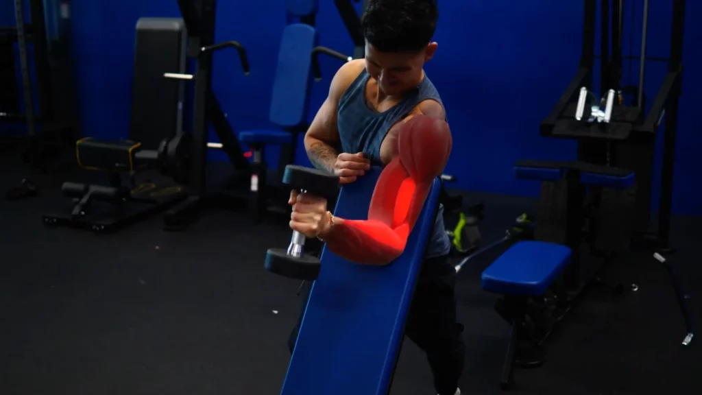 Use a bench for hammer curls in arm workout for more growth