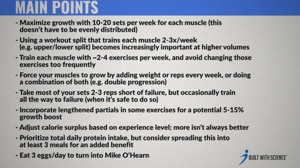 How to build muscle main points