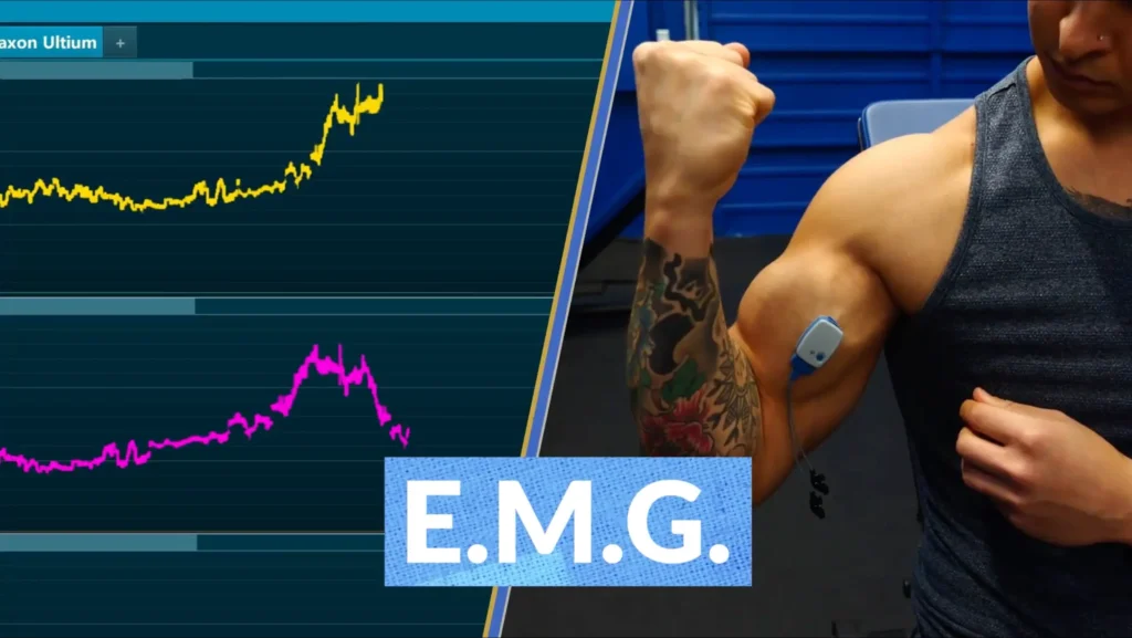 Best exercises for wider biceps EMG