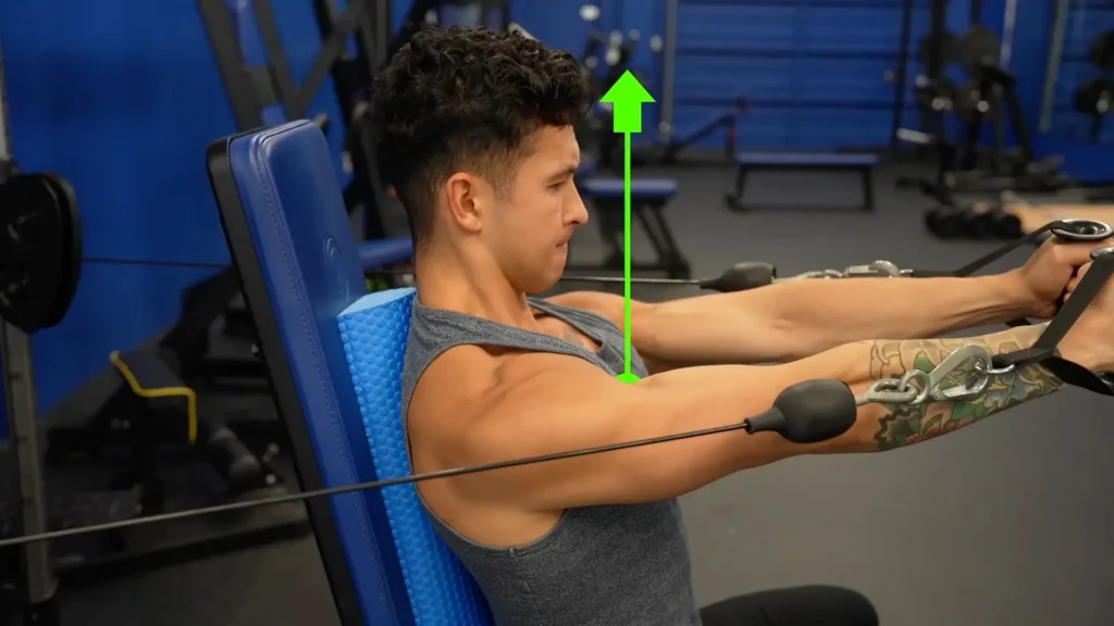 Chest exercises seated cable chest fly avoid letting shoulders round