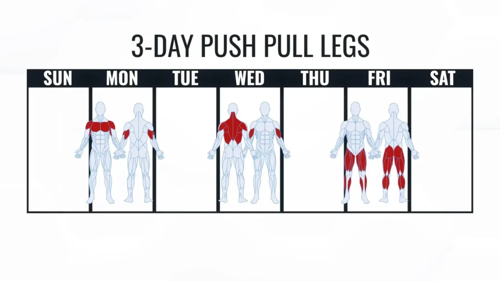 3 day push pull legs workout split