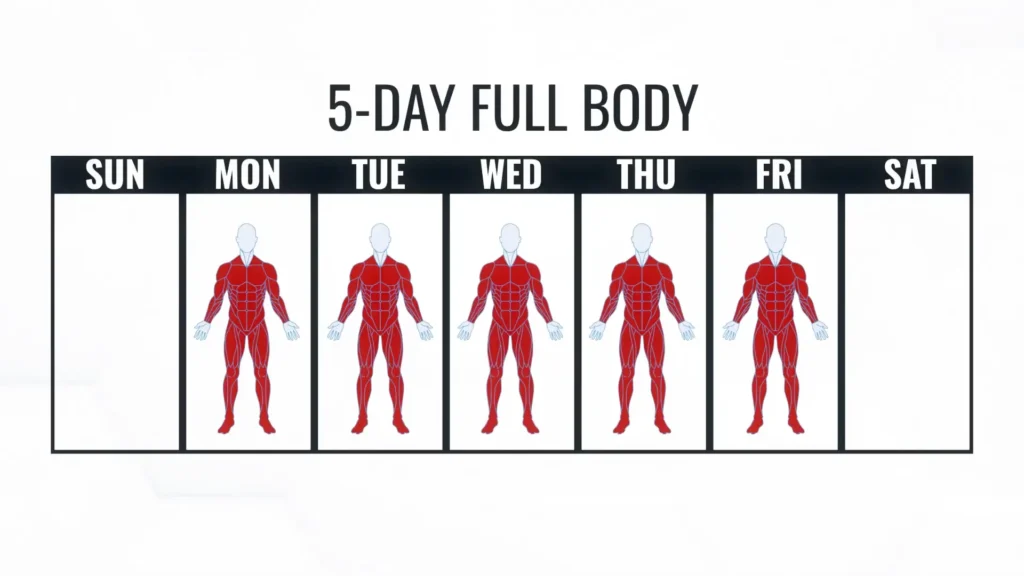 5 day full body workout split