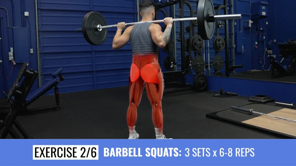 Full body workout plan workout 1 barbell squats