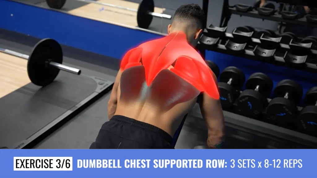 Full body workout plan workout 1 dumbbell chest supported row