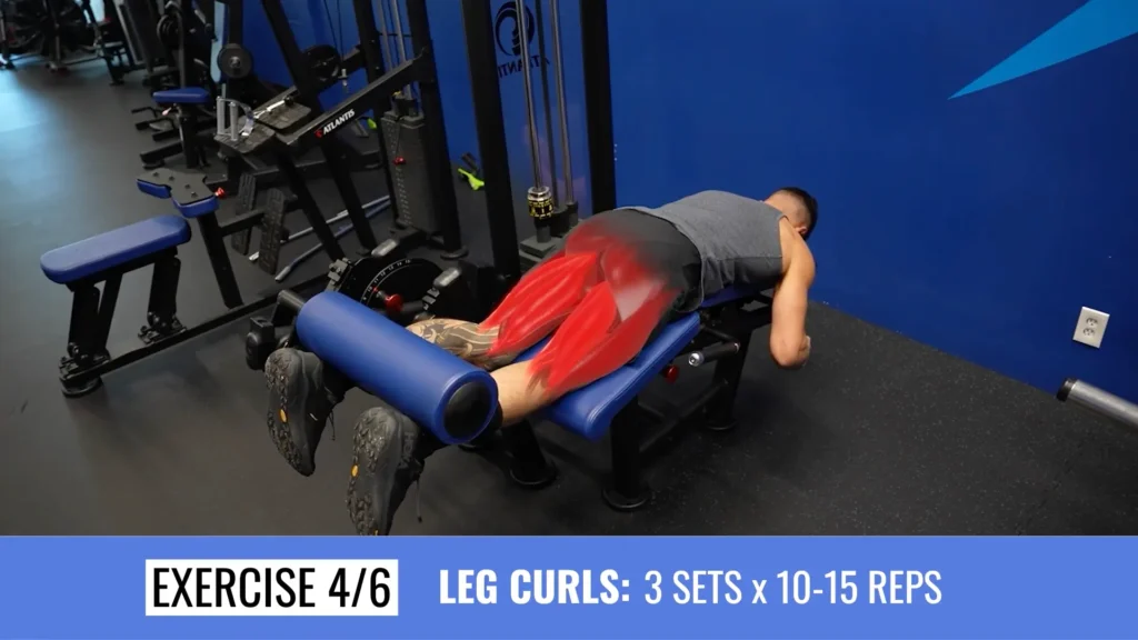 Full body workout plan workout 1 leg curls