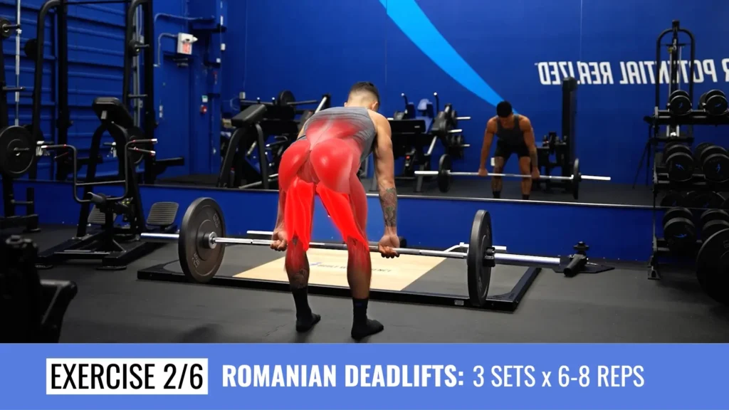 Full body workout plan workout 2 romanian deadlifts