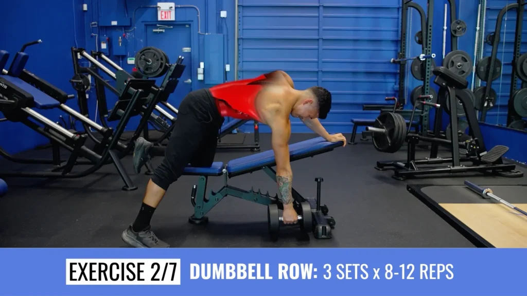 Full body workout plan workout 3 dumbbell row