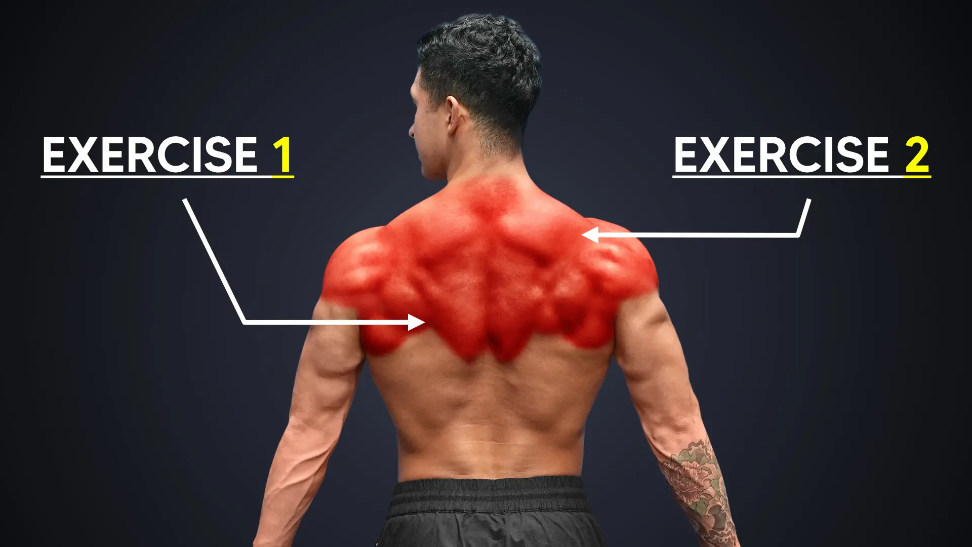 Thick back exercises cover image