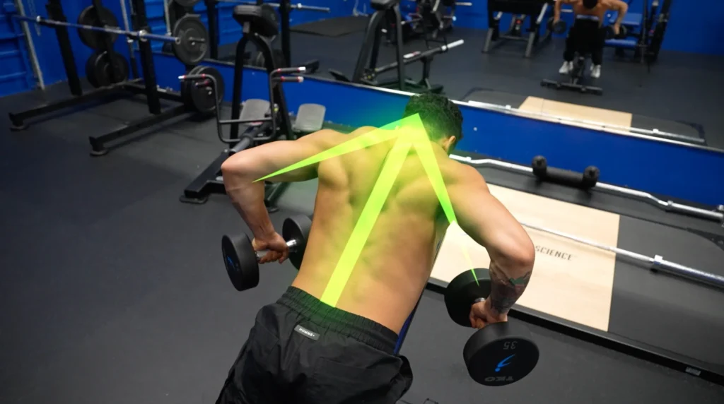 Thick back exercises exercise 2 form tip