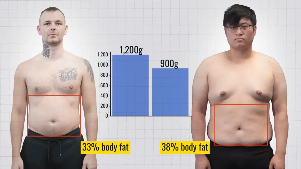 Visceral fat Dayton vs Kevin
