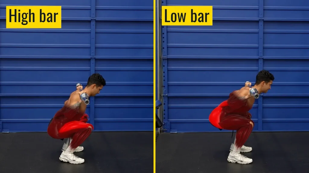 Compound exercises high bar vs low bar squats