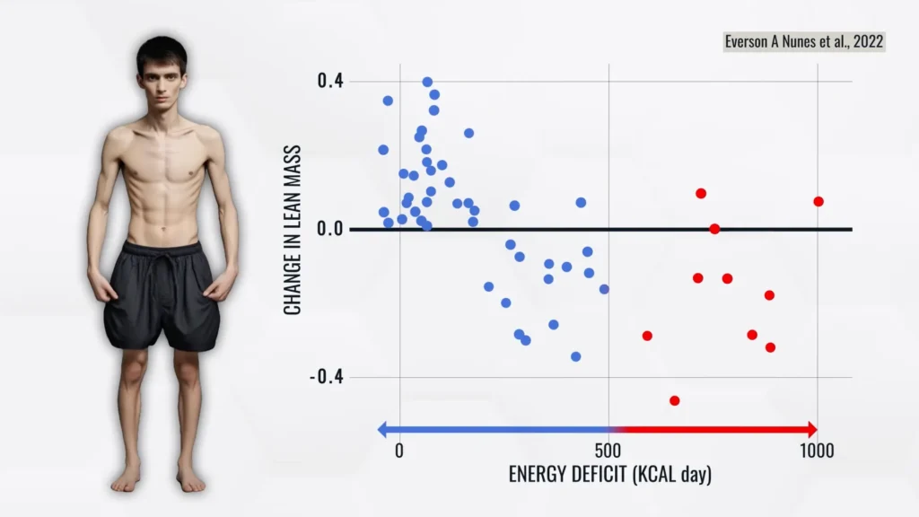 How much protein to build muscle calorie importance