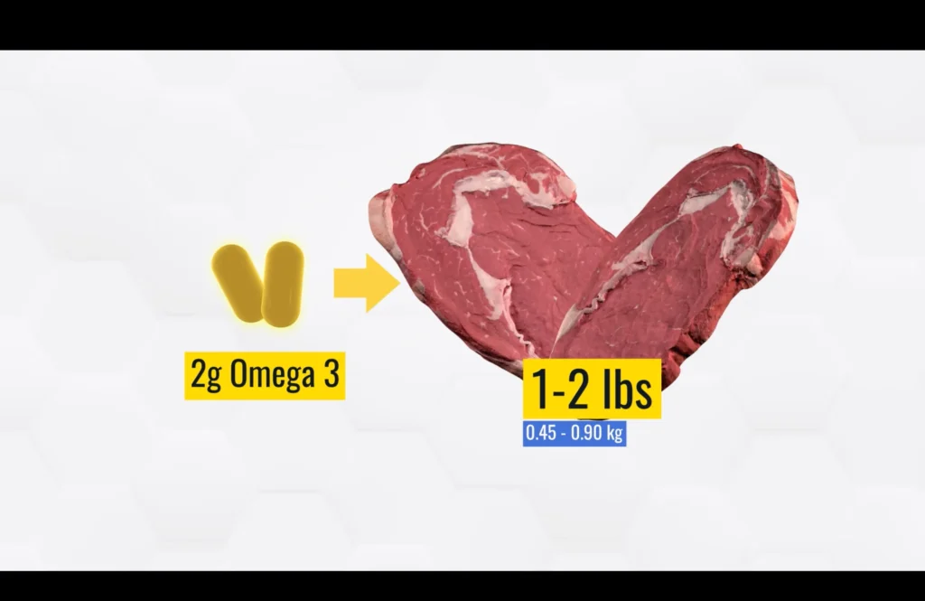 Best muscle mass building supplement omega 3