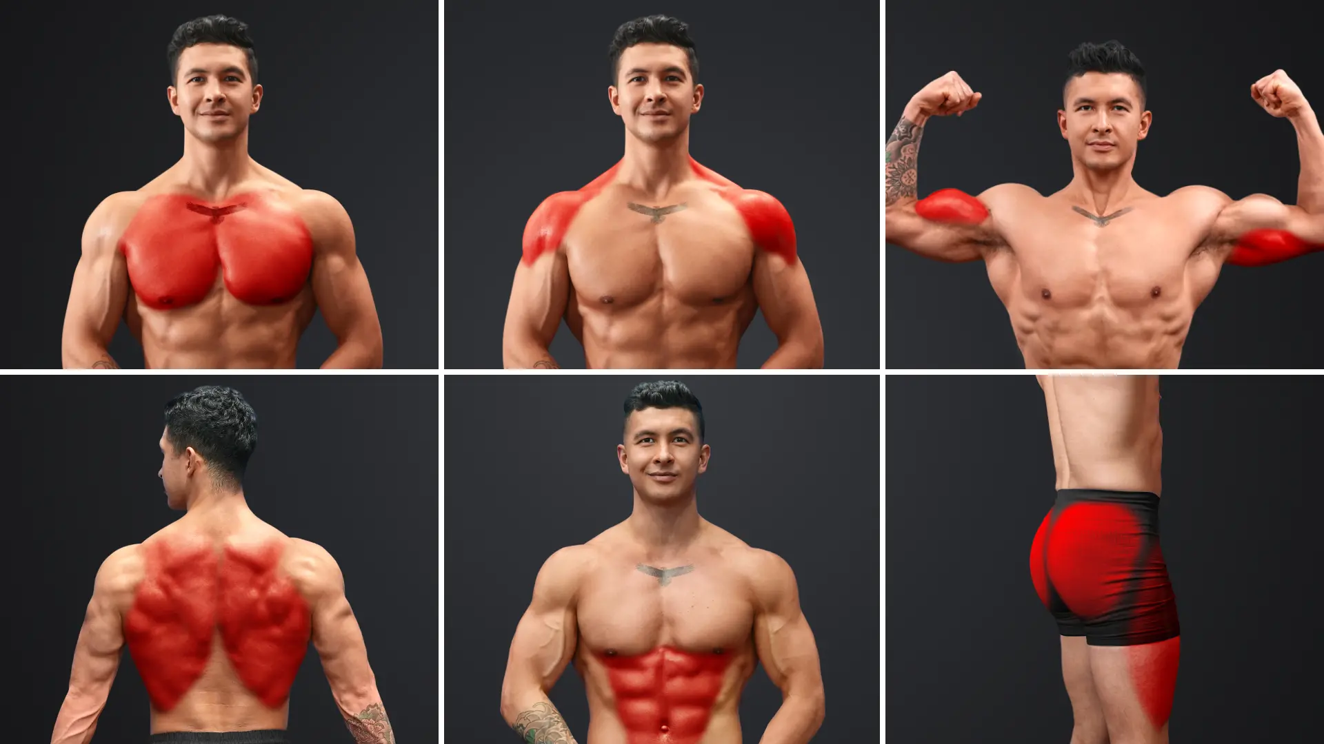 Full body workout routine cover image