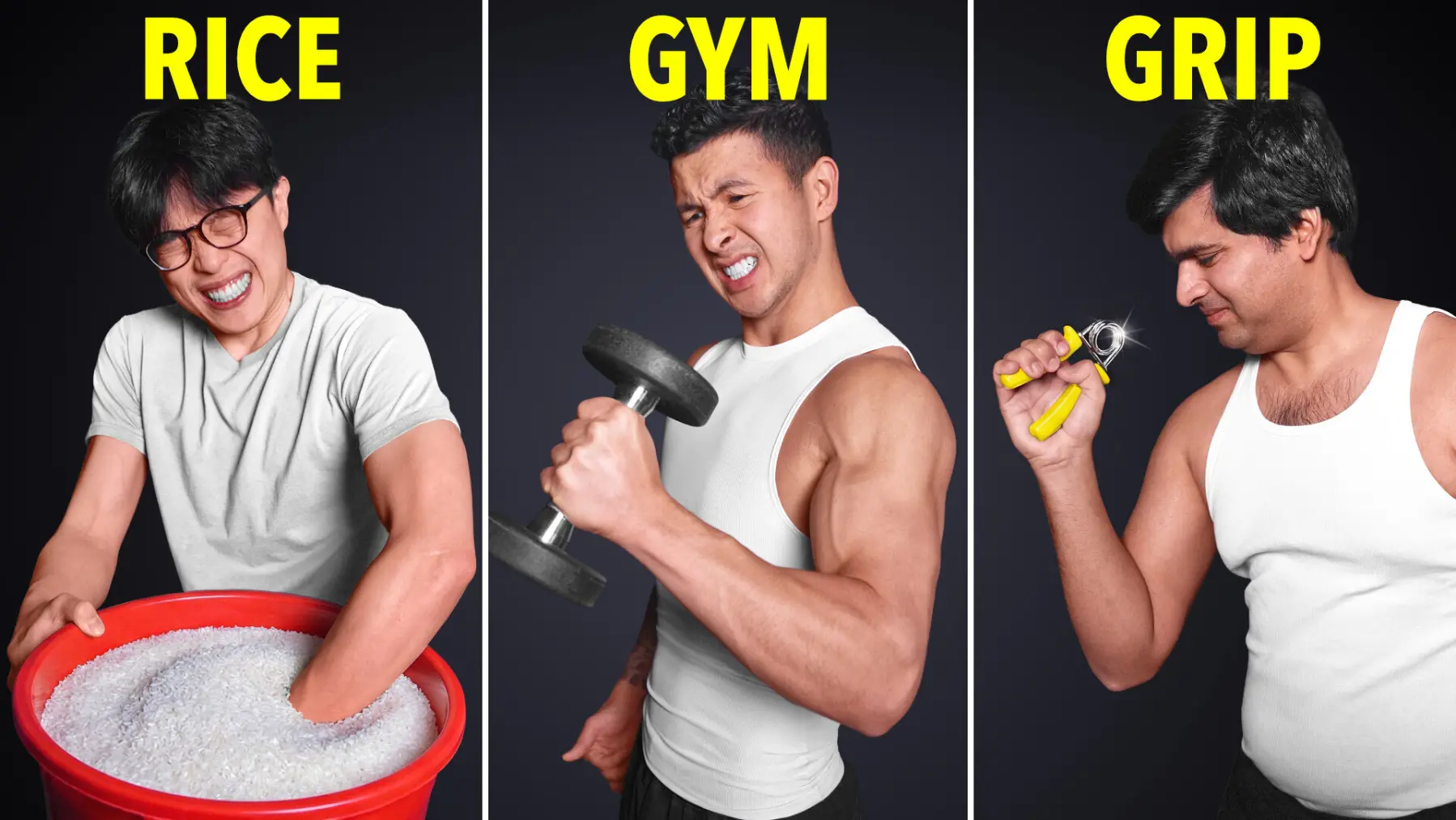 Forearms experiment cover image