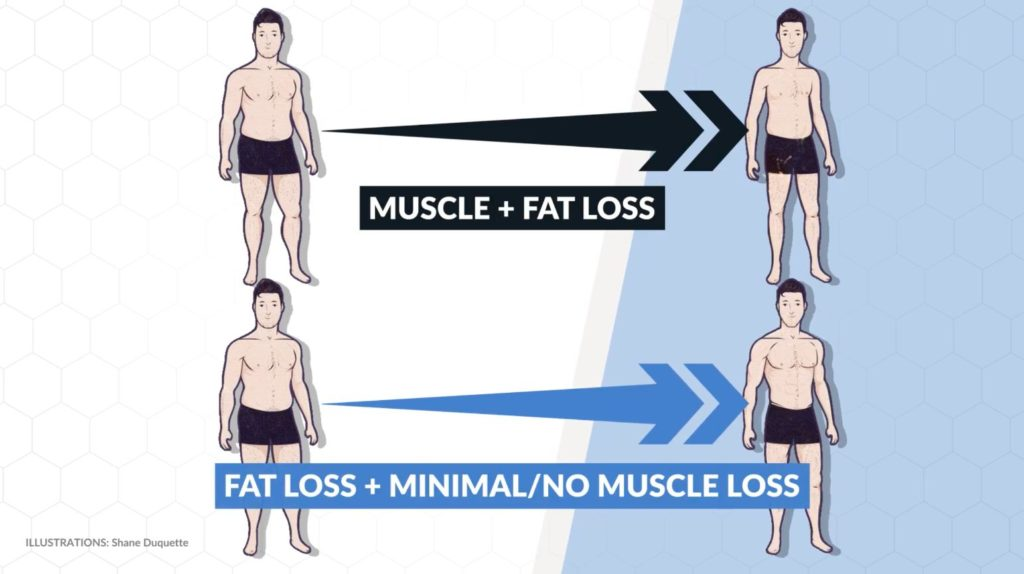 how to calculate your calorie deficit difference between muscle loss and minimal muscle loss