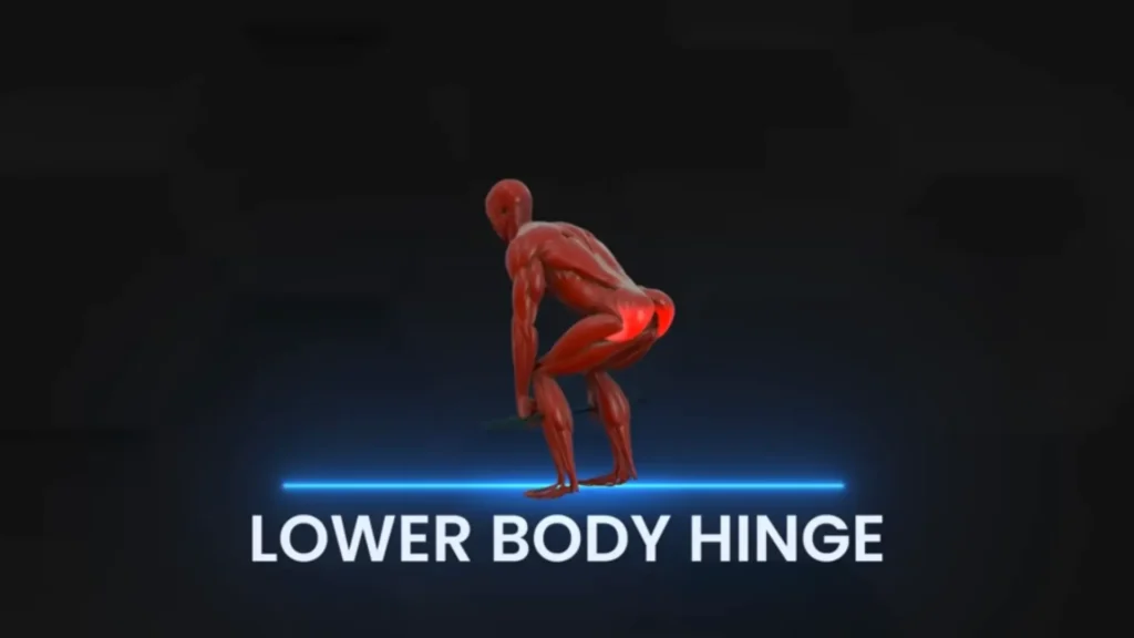 Bigger butt lower body hinge