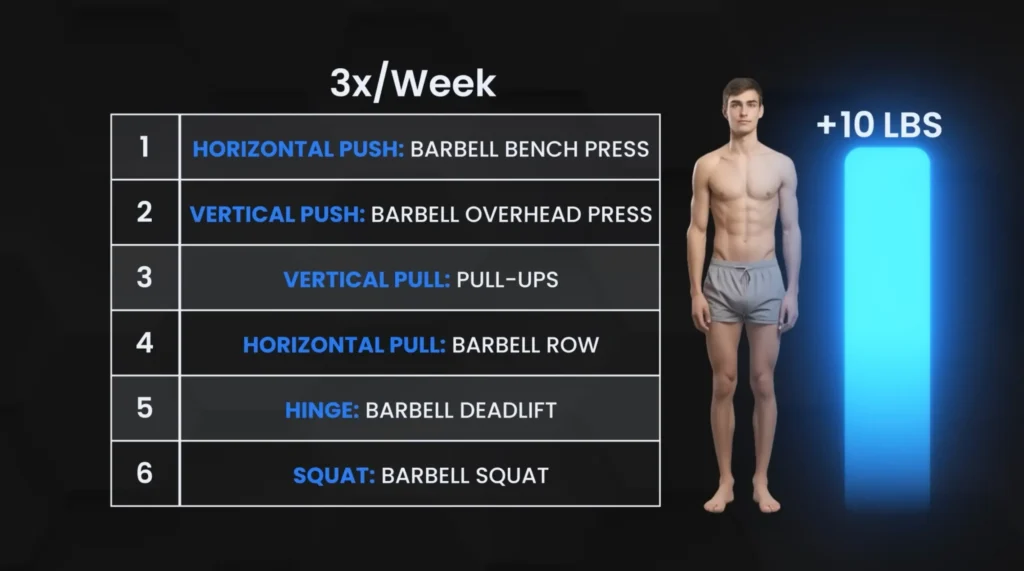 How to build 20 pounds of muscle full body workout