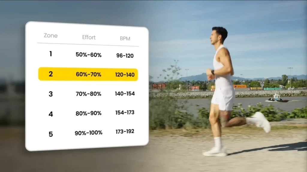 30 minutes of cardio a day zone 2 training
