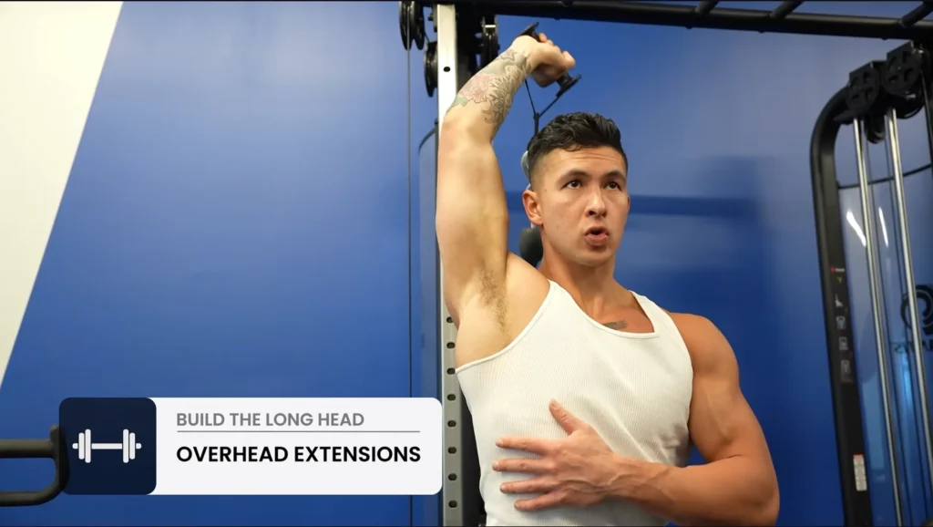 How to lose stubborn fat triceps exercises